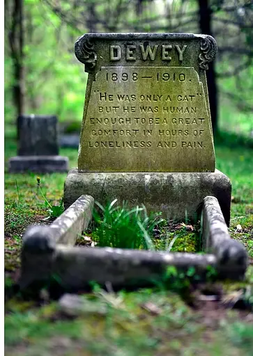Faithful unto Death. Pet cemeteries, animal graves and eternal devotion - фото 21