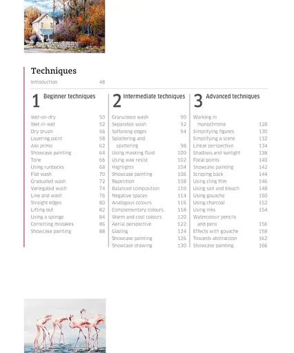 Artist's Watercolour Techniques. Discover How to Paint Landscapes, People and Still Lifes, and Develop Your Own Style - фото 3