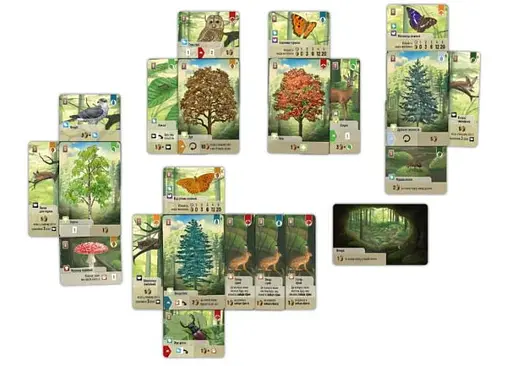 Настольная игра Lords of Boards Лесная суета (Forest Shuffle) (укр.) (LOB2329UA) - фото 5