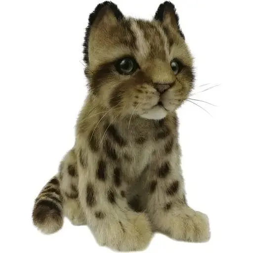 Мягкая игрушка Hansa Котенок леопарда Шиху 22 см (7739)