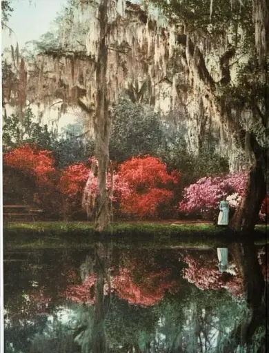 America 1900 - фото 4