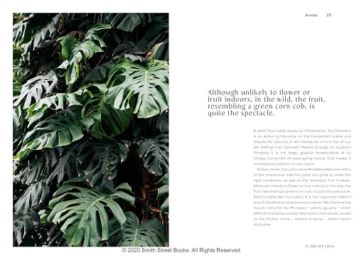 Plantopedia - фото 4