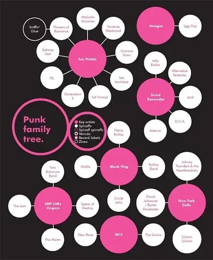 A Field Guide to Punk - фото 6