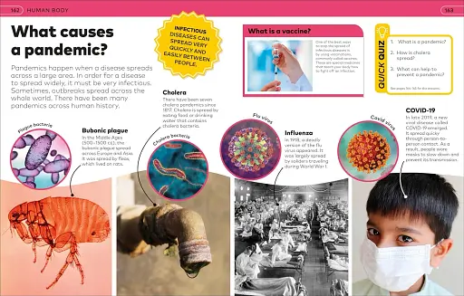 Why? Encyclopedia - фото 5