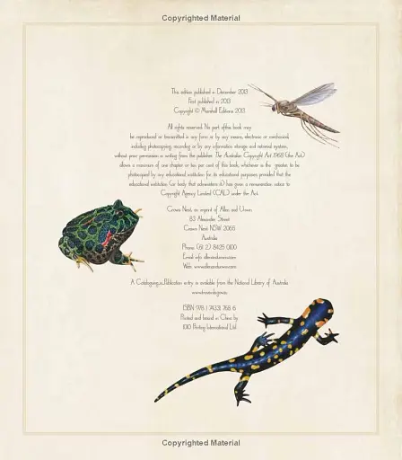 First Concept. Animal 123 - фото 4