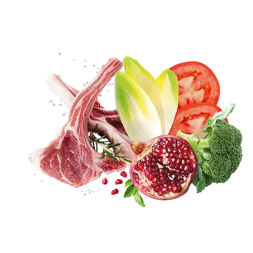 Корм Exclusion Adult Lamb Medium Breed для дорослих собак середніх порід з ягням 12 кг - фото 3