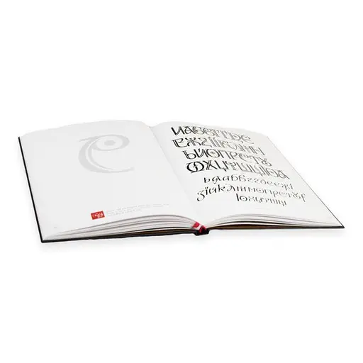 Василій Чебаник. Графіка української мови. Рутенія (УКР/ENG/汉语) - фото 4