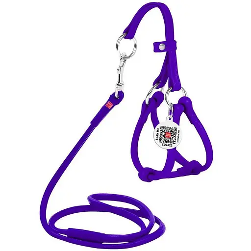Шлея з повідцем для собак Waudog Glamour шкіряна з QR паспортом, кругла, фіолетовий