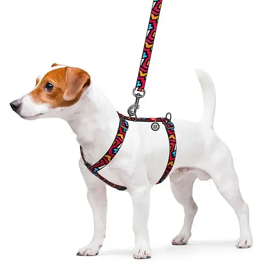 Шлея для собак Waudog Nylon анатомічна H-подібна з QR-паспортом, малюнок "Графіті", пластиковий фастекс, L - фото 3