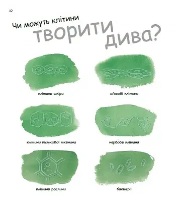 Дивовижний світ клітин - фото 3