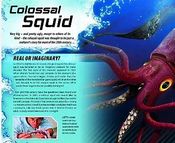 iExplore. Ocean Monsters - фото 3