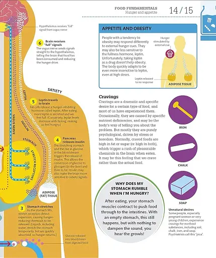 How Food Works: The Facts Visually Explained - фото 13