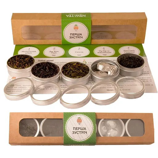 Первая встреча Newtea