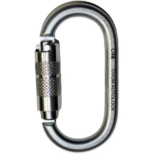 Карабін First Ascent Oval Autolock Stainless Steel (1060-FA 8009)