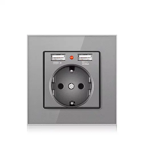 Розетка с заземлением SIXWGH с USB-портами Серый (WH034G)
