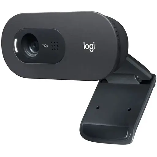 Веб-камера Logitech HD Webcam C505e (960-001372, 960-001373) - фото 3