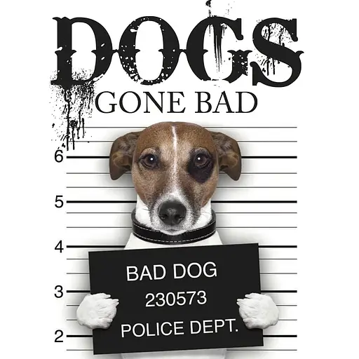 Dogs Gone Bad - Рассел Джек - фото 1