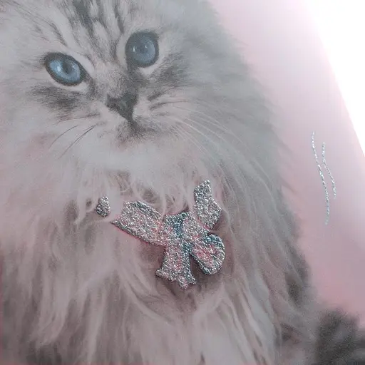 Папка на резинке Kite Rachael Hale А4 (R25-247) - фото 4