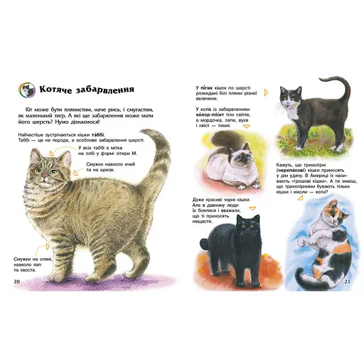 Енциклопедія дошкільника "Коти" 614039 для найменших - фото 4