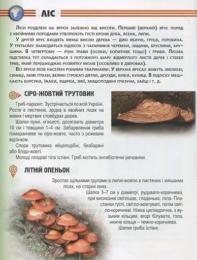 Енциклопедія для допитливих А5 : Рослини і тварини України (Українська ) - фото 7