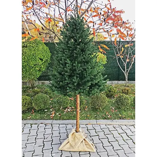 Ялинка штучна Hvoya Traditional 220 см лита з натуральним дерев'яним стовбуром зелена