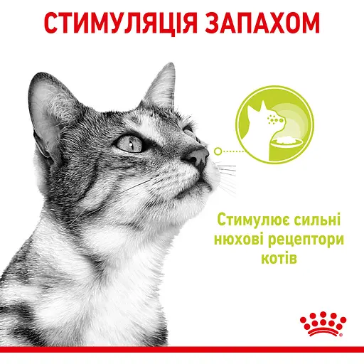 Влажный корм для взрослых кошек Royal Canin Sensory Smell Gravy кусочки в соусе 1.02 кг (12 шт. х 85 г) - фото 8