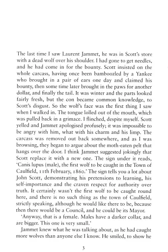 The Tenderness of Wolves - фото 2