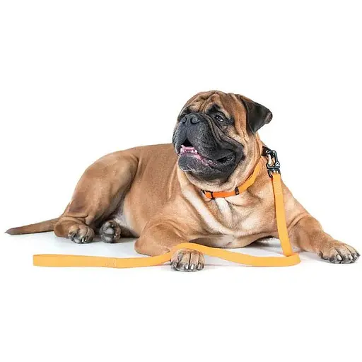 Повідець Waudog Еволютор (ширина 25 мм, довжина 210 см) помаранчевий - фото 6