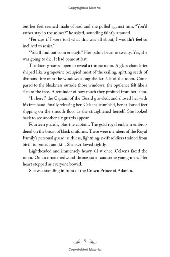 Throne of Glass - фото 15