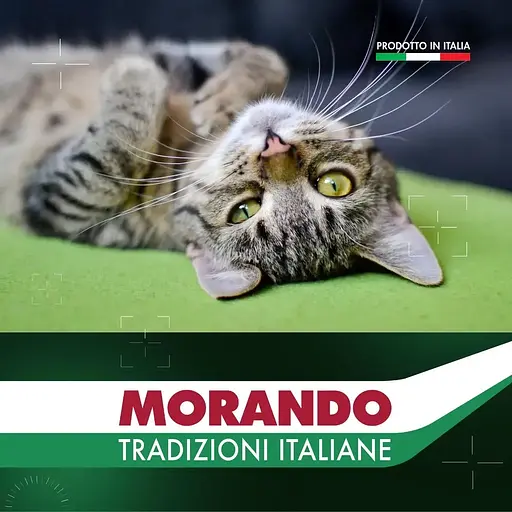 Вологий корм для котів Morando Tradizioni беззерновий паштет з куркою, картоплею та горохом 100 г - фото 6