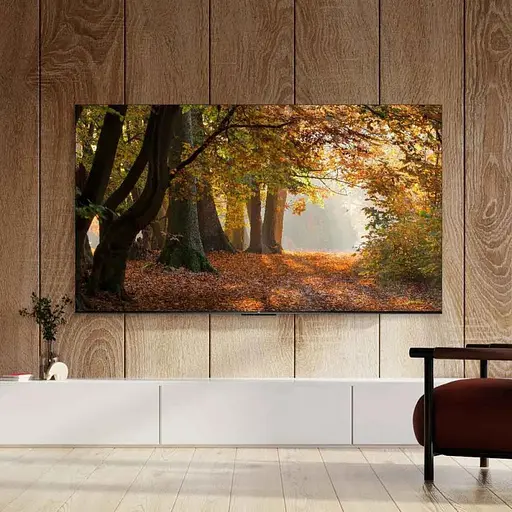 Телевизор TCL 58V6B - фото 7