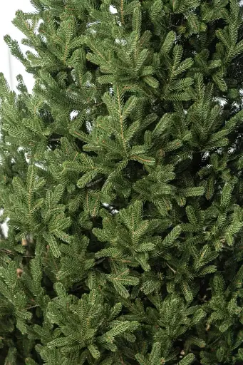Елка искусственная литая Венская 1.8 м Зеленая - фото 8