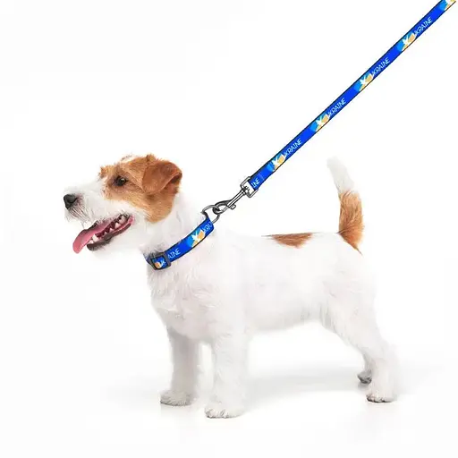 Повідець для собак Waudog Nylon нейлоновий малюнок "Прапор", розмір S - фото 4