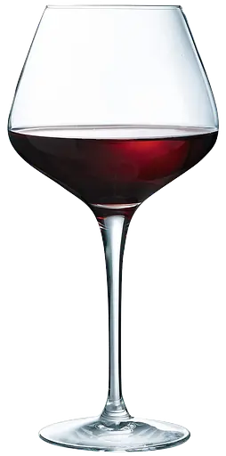 Набор бокалов C&S Sublym, 6х600 мл (7098532) - фото 2