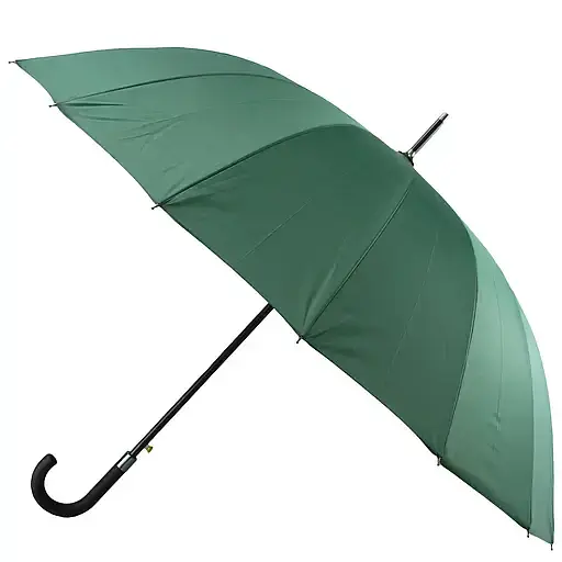Зонтик Semi Line Green (DAS303082) - фото 1