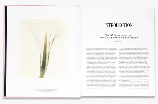 Flora Photographica: The Flower in Contemporary Photography - фото 4