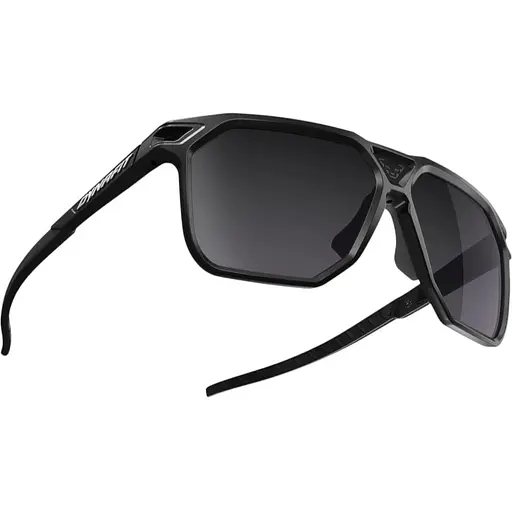 Очки Dynafit Traverse Sunglasses Черный (1054-016.003.0834)