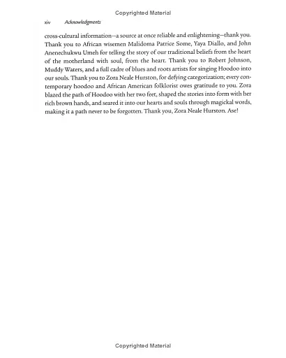 Sticks, Stones, Roots Bones: Hoodoo, Mojo Conjuring with Herbs - Stephanie Rose Bird - фото 9