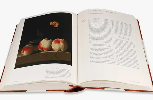 Iconotypes. A compendium of butterflies and moths. Jones’s Icones Complete - фото 5