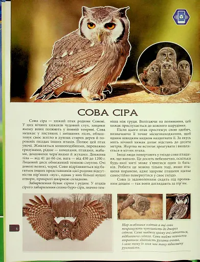 4D Книга Тварини України - фото 4