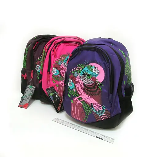 Рюкзак школьный Птица, 40x32x14 см, 4835IMG (в ассортименте) - фото 2