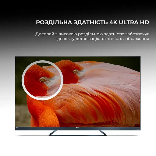 Телевізор Sharp 65FQ5EA - фото 15