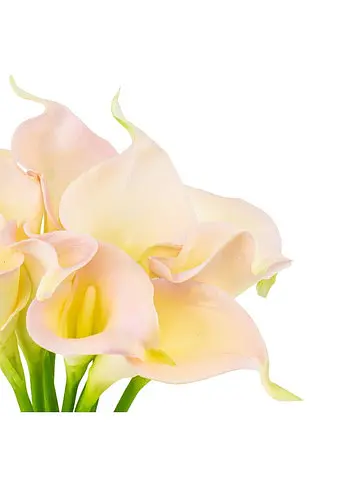 Штучні кали, рожеві, 35 см Elisey 042-14B/pink - фото 2