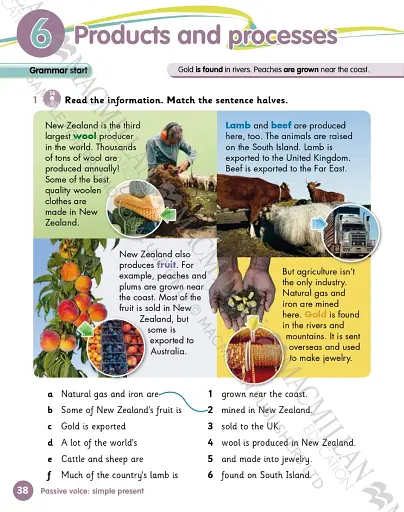 Grammar Goals. Level 5. Student's Book & CD Rom. American Edition - фото 2