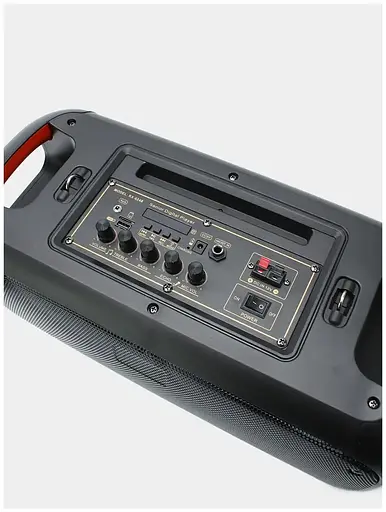 Портативна акустична колонка RX-6248 з мікрофоном та пультом - фото 9