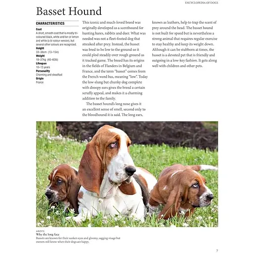 Encyclopedia of Dogs - Джексон Том - фото 4