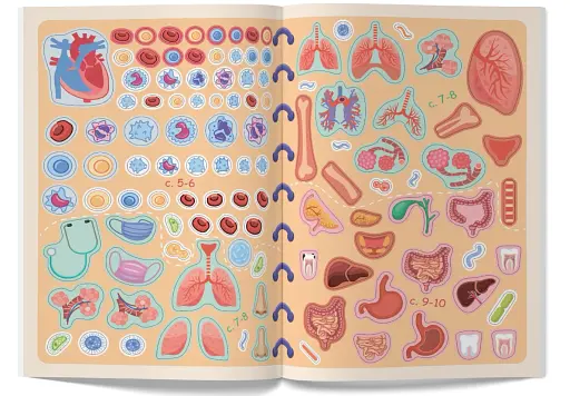 Меганаліпки. Тіло людини - фото 7