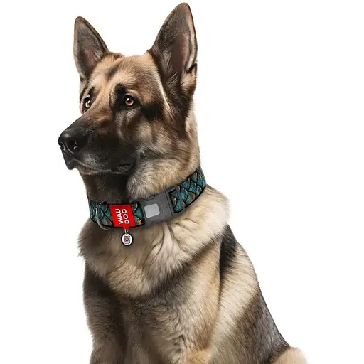 Ошейник для собак нейлоновый WAUDOG Nylon с QR адресником Луска XL 2.5х37-58 см - фото 3