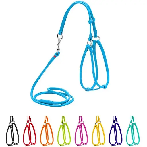 Шлея з повідцем для собак Waudog Glamour шкіряна з QR паспортом, кругла, блакитний - фото 3