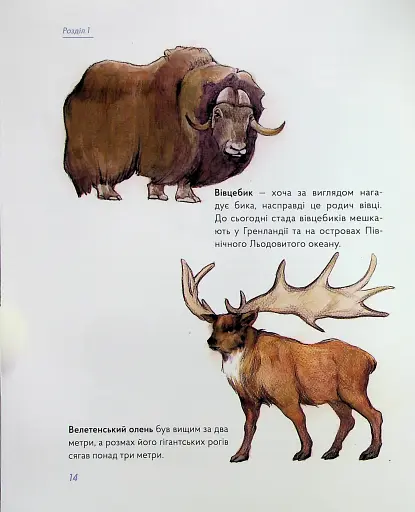З мамонтами і бізонами. Як жилося людям у льодовиковому періоді - фото 13